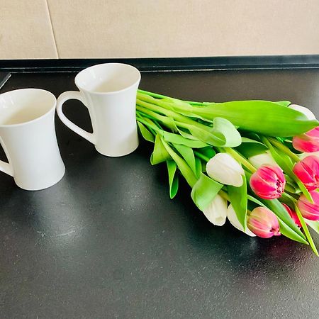 Apartament Fraszka U Kochanowskiego Ac Progres Torun Luaran gambar