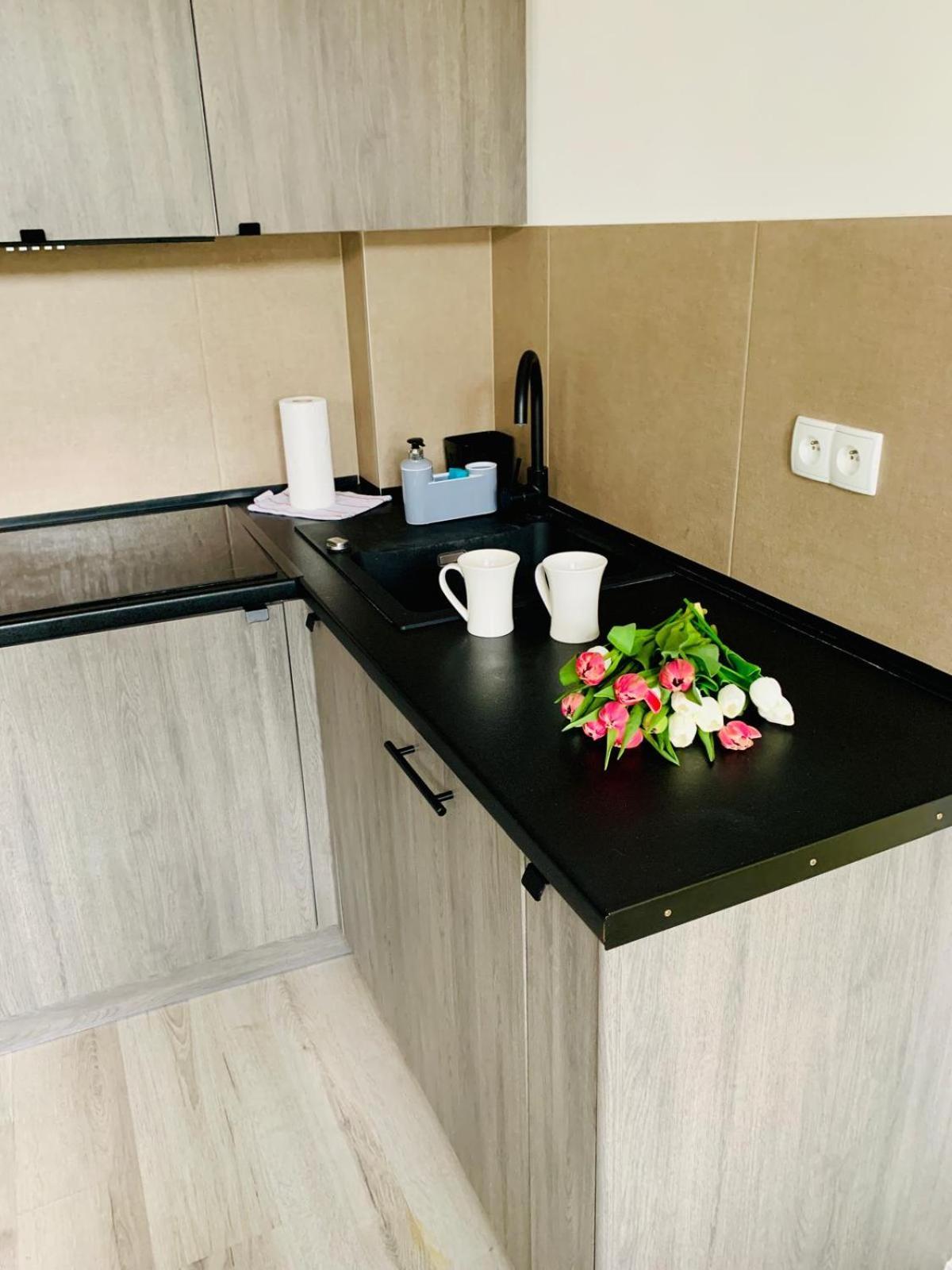 Apartament Fraszka U Kochanowskiego Ac Progres Torun Luaran gambar