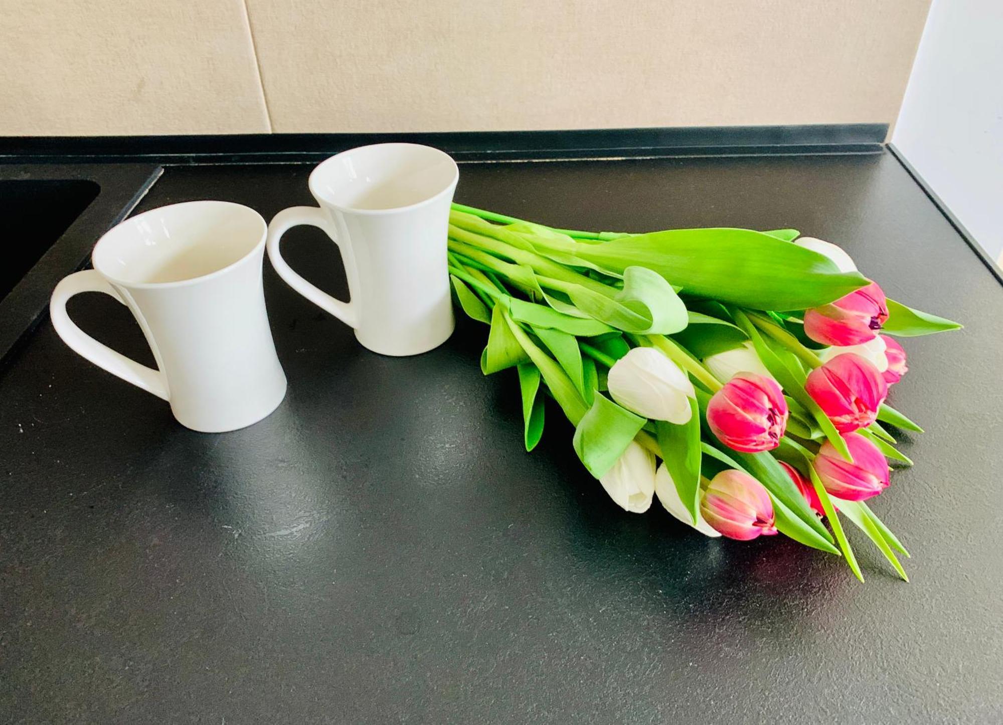 Apartament Fraszka U Kochanowskiego Ac Progres Torun Luaran gambar